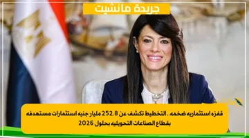 قفزة استثمارية ضخمة.. التخطيط تكشف عن 252.8 مليار جنيه استثمارات مستهدفة بقطاع الصناعات التحويلية بحلول 2026